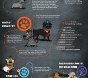 Beneficios de tener un perro - Infografia