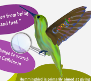 Google Hummingbird - Infografía