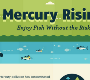 Mercurio y peces - Infografia